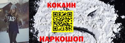крисы Гатчина