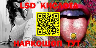 крисы Гатчина