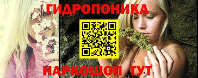 крисы Гатчина