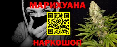 крисы Гатчина