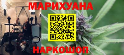 крисы Гатчина