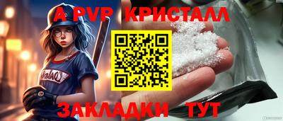крисы Гатчина