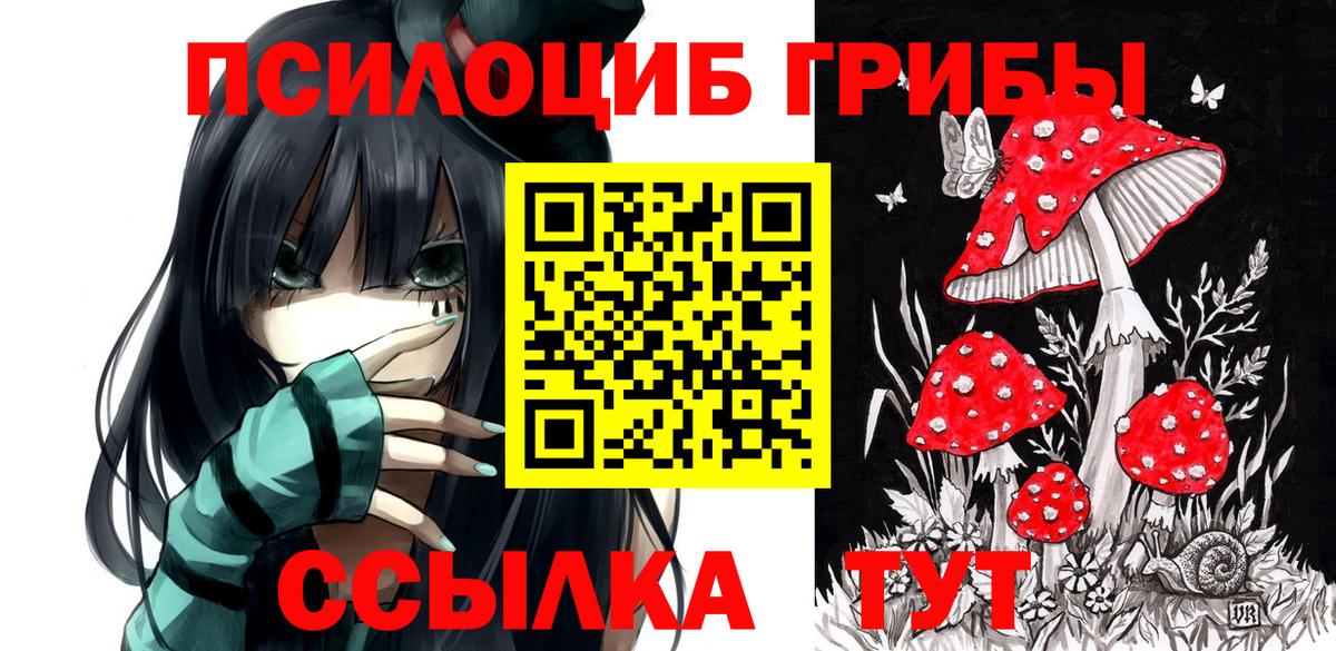 Псилоцибиновые грибы Magic Shrooms  Псилоцибиновые грибы MAGIC MUSHROOMS  Балаково  купить   Вход с VPN 