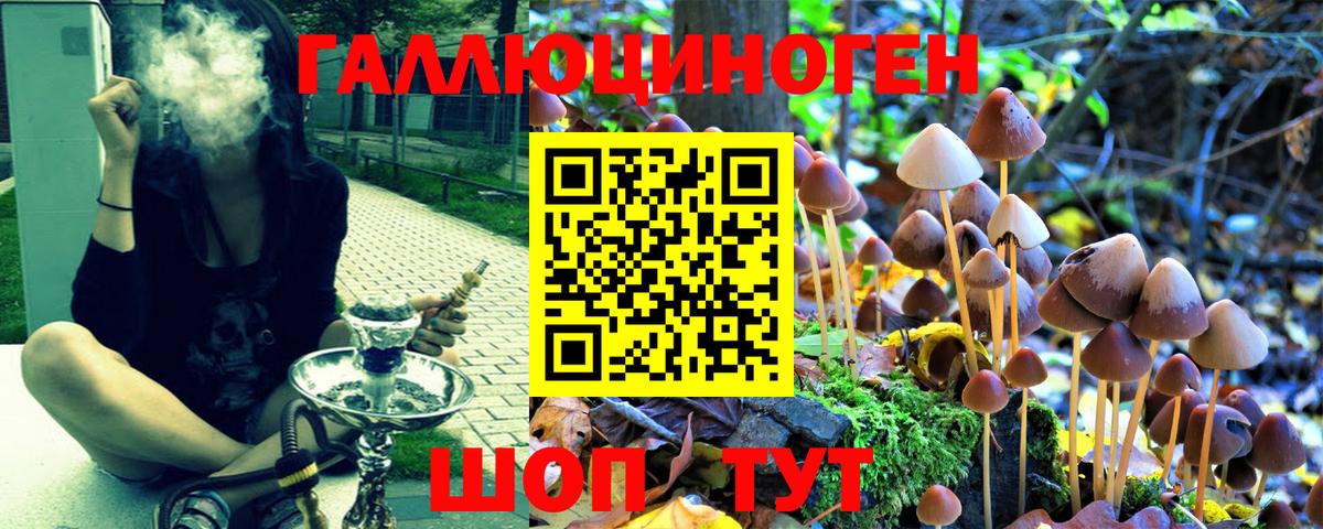 Галлюциногенные грибы Magic Shrooms Балаково