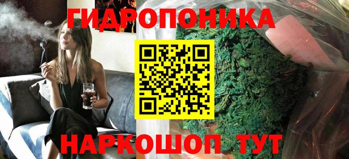 Конопля OG Kush  Шишки марихуана планчик  Бошки Шишки THC 21%  Балаково  МАРИХУАНА THC 21% 